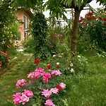 Carossi Bed & Breakfast