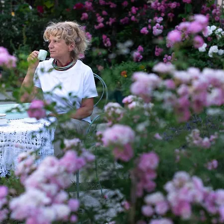 Carossi فندق مبيت وإفطار 4*