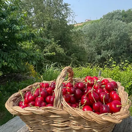 Carossi Couette-café Castagnole delle Lanze
