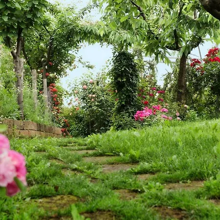 Carossi Bed and breakfast 4*