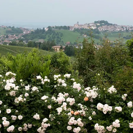 Carossi Castagnole delle Lanze