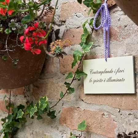 Panzió Carossi Castagnole delle Lanze