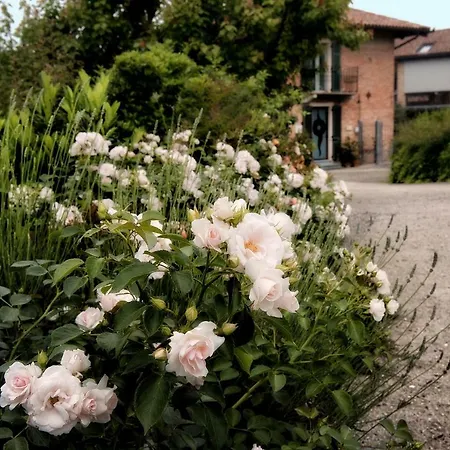 فندق مبيت وإفطار Carossi Castagnole delle Lanze