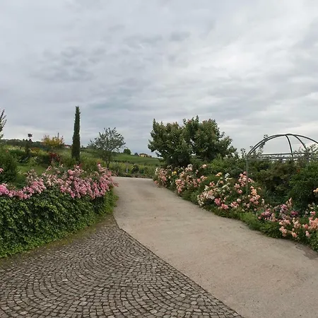 فندق مبيت وإفطار Carossi Castagnole delle Lanze