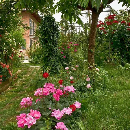 Carossi فندق مبيت وإفطار