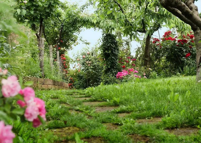 Carossi Bed & Breakfast 4*