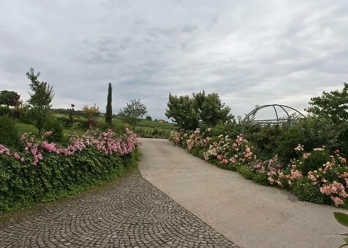 Bed & Breakfast Carossi Castagnole delle Lanze