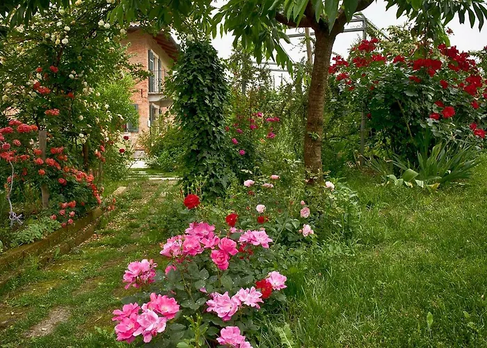 Carossi Bed & Breakfast